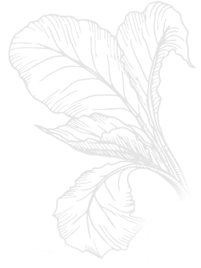 Footer center decoration