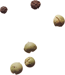 Footer nuts decoration