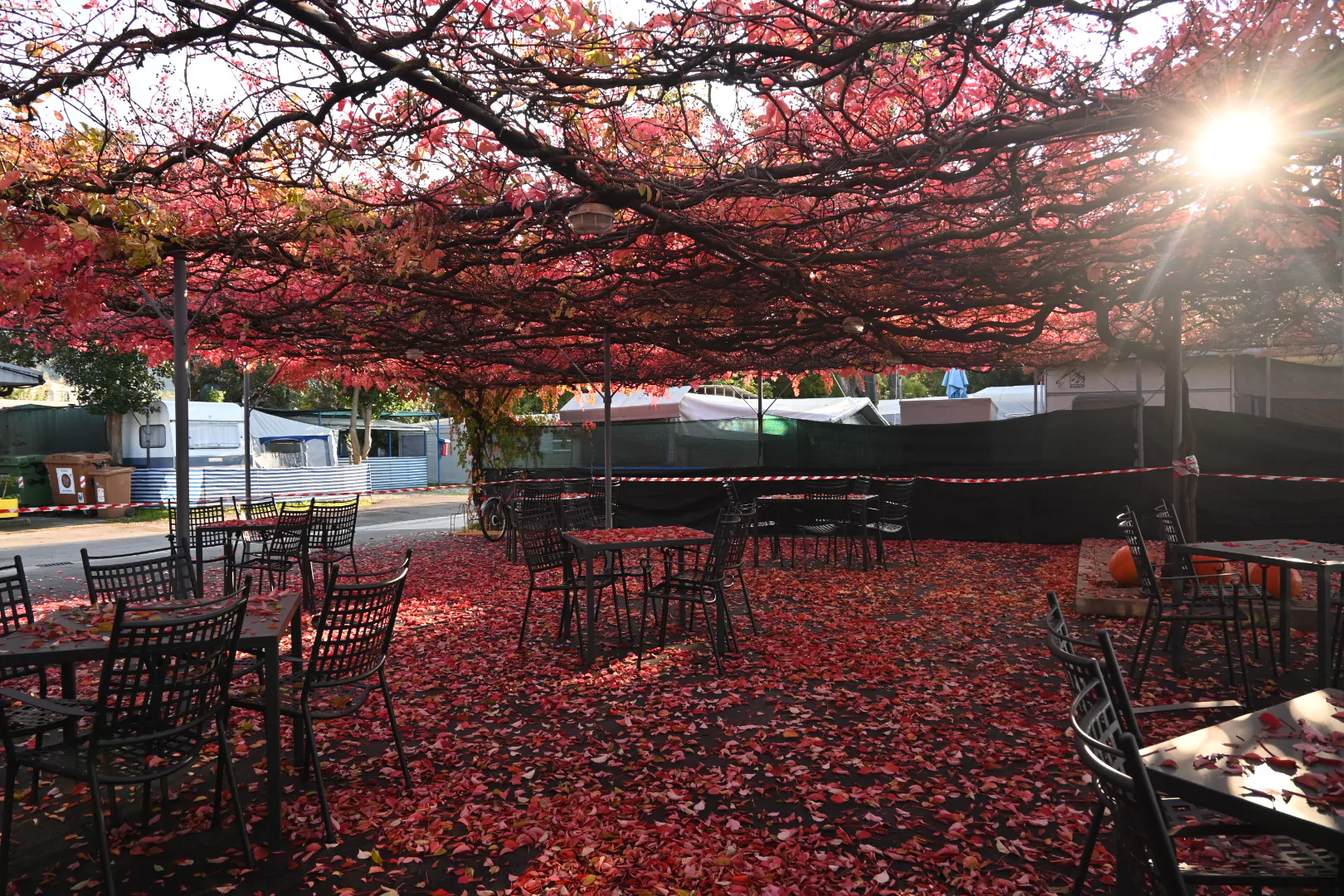 Restaurant Jadranka Terrace